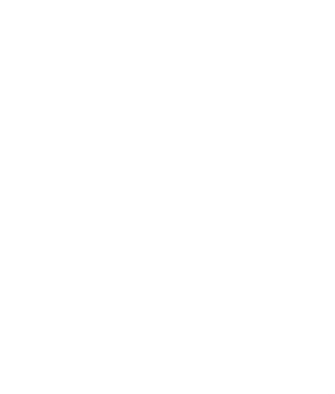 Support Local Fútbol