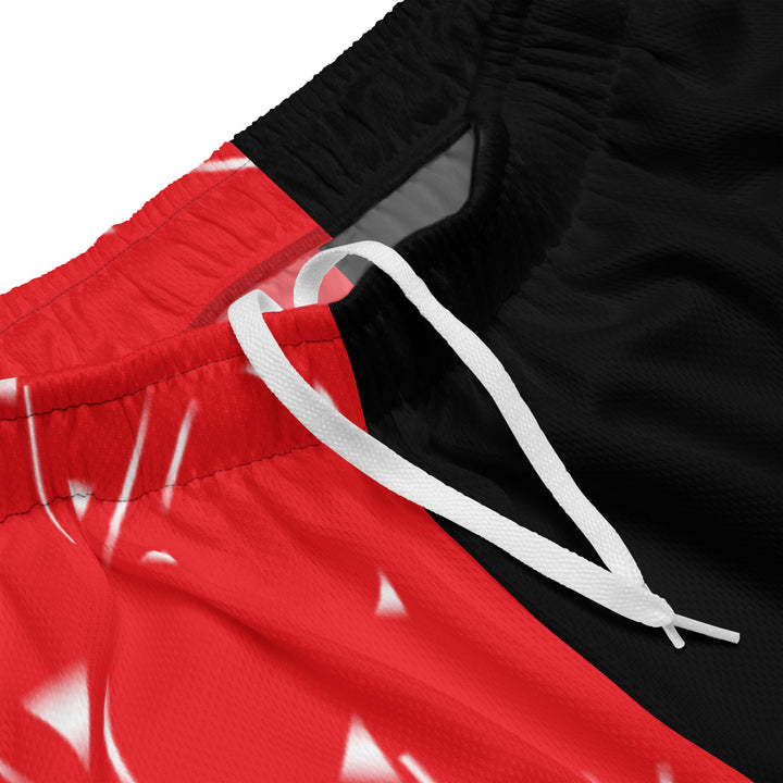 Candy Mesh Shorts