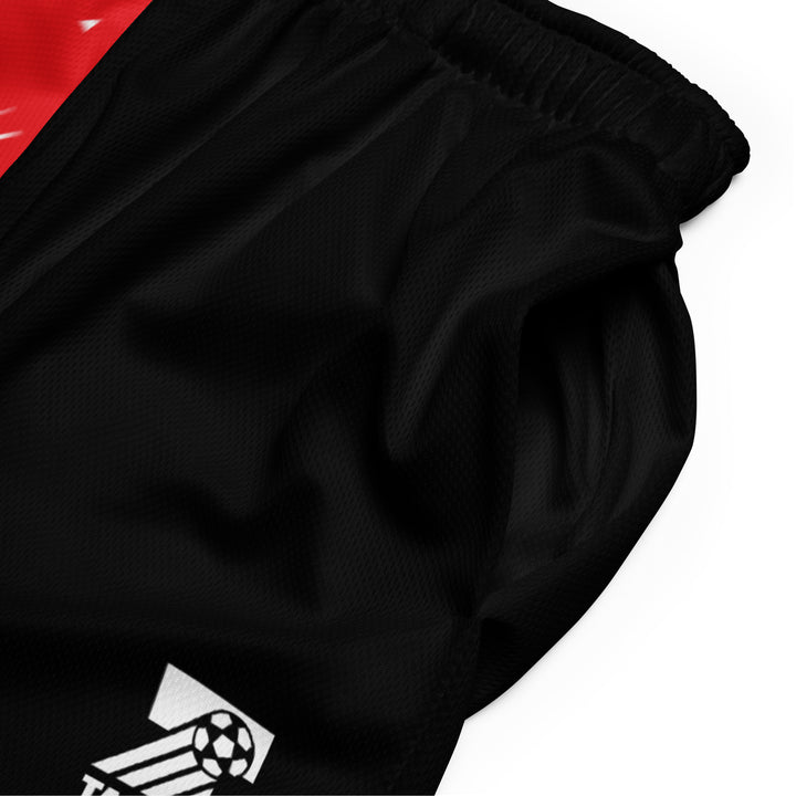 Candy Mesh Shorts